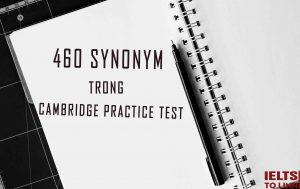 Tổng Hợp 460 Synonyms Trong Bộ Cam Huyền Thoại Trung Tam Luyện