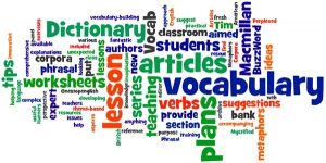 Vocabulary